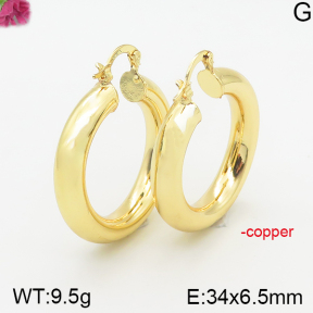Fashion Copper Earrings  F5E200262bhva-J40