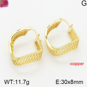 Fashion Copper Earrings  F5E200267bhva-J40