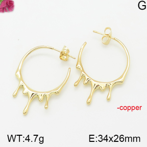 Fashion Copper Earrings  F5E200273bbov-J40