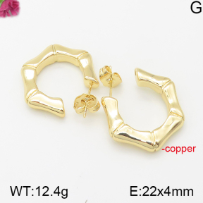 Fashion Copper Earrings  F5E200275bbov-J40