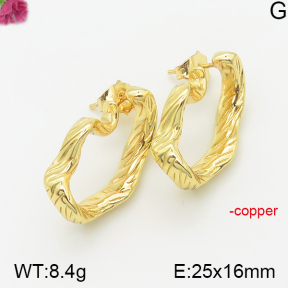 Fashion Copper Earrings  F5E200282bbov-J40