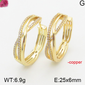 Fashion Copper Earrings  F5E401064bhia-J40