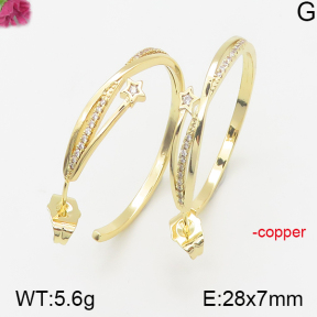 Fashion Copper Earrings  F5E401070bhia-J40
