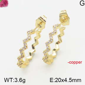 Fashion Copper Earrings  F5E401072bhva-J40