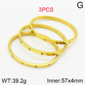 SS Bangles  TZ2000128aivb-434