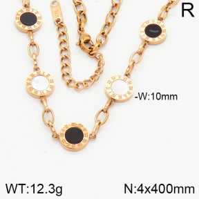 Stainless Steel Necklace  2N4001244ahlv-323