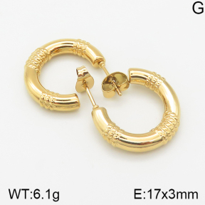 Stainless Steel Earrings  5E2001765aakl-703