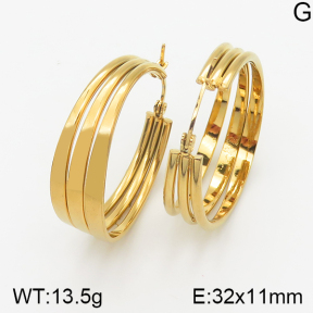 Stainless Steel Earrings  5E2001770aakl-703