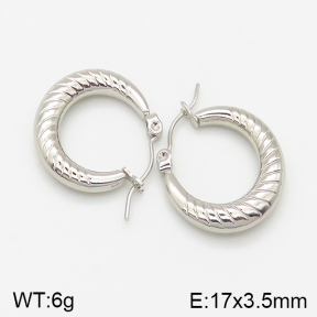 Stainless Steel Earrings  5E2001775aakj-703