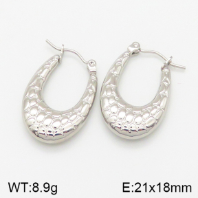 Stainless Steel Earrings  5E2001776aakj-703