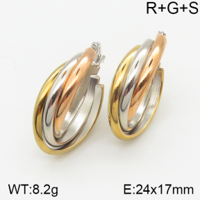 Stainless Steel Earrings  5E2001779ablb-703
