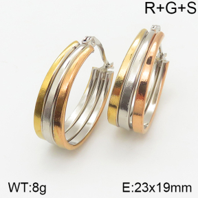 Stainless Steel Earrings  5E2001780ablb-703