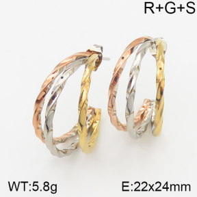 Stainless Steel Earrings  5E2001781ablb-703