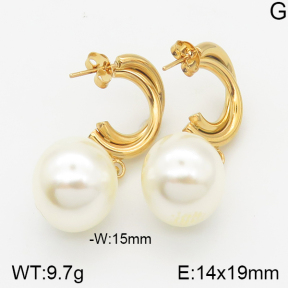 Stainless Steel Earrings  5E3000536bbml-703