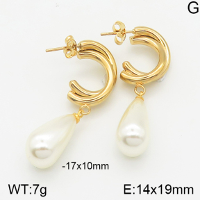 Stainless Steel Earrings  5E3000537bbml-703