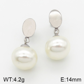 Stainless Steel Earrings  5E3000539avja-703