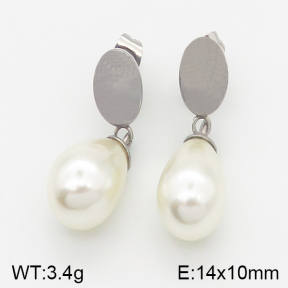 Stainless Steel Earrings  5E3000540avja-703