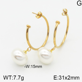 Stainless Steel Earrings  5E3000542aakl-703