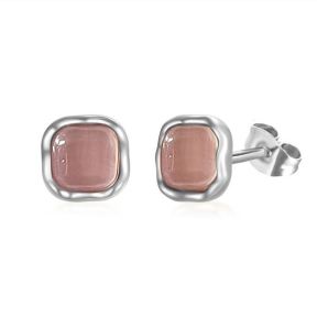 Stainless Steel Earrings  6E4003639aaio-691  PE384B