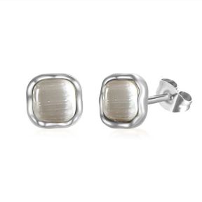 Stainless Steel Earrings  6E4003641aaio-691  PE384C