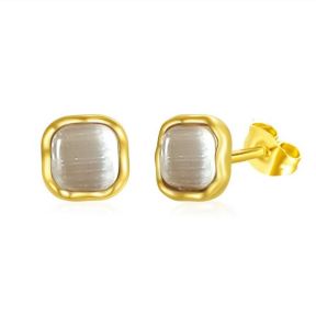 Stainless Steel Earrings  6E4003642aajl-691  PE384CG