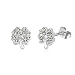 Stainless Steel Earrings  6E4003655vail-691  PE387A