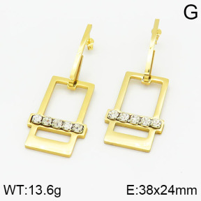 Stainless Steel Earrings  2E4001605ablb-618