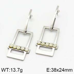 Stainless Steel Earrings  2E4001606aakl-618