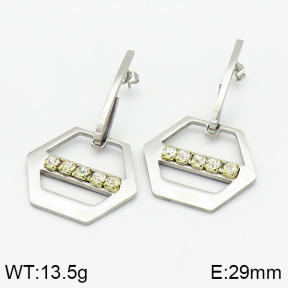 Stainless Steel Earrings  2E4001608aakl-618