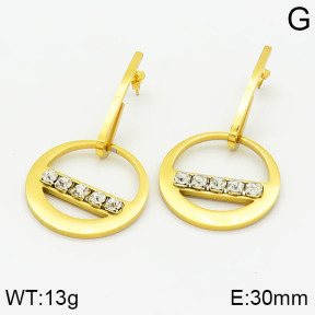 Stainless Steel Earrings  2E4001609ablb-618