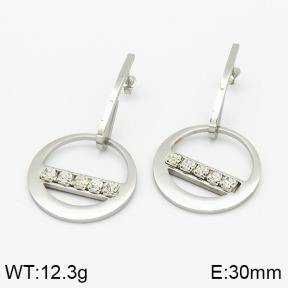 Stainless Steel Earrings  2E4001610aakl-618