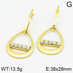 Stainless Steel Earrings  2E4001613ablb-618