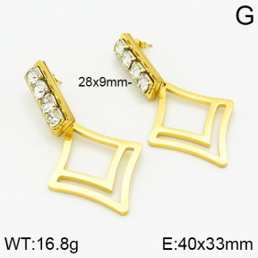 Stainless Steel Earrings  2E4001617ablb-618