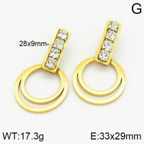 Stainless Steel Earrings  2E4001619ablb-618