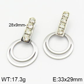 Stainless Steel Earrings  2E4001620aakl-618
