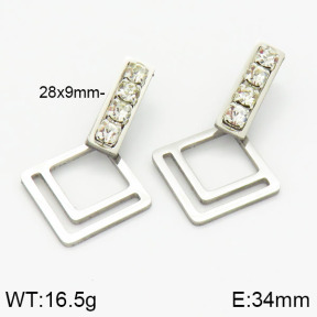 Stainless Steel Earrings  2E4001622aakl-618