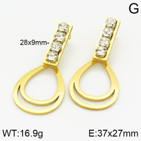 Stainless Steel Earrings  2E4001624ablb-618
