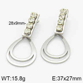 Stainless Steel Earrings  2E4001625aakl-618
