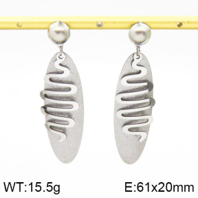 Stainless Steel Earrings  2E5000036ablb-618