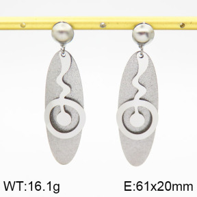 Stainless Steel Earrings  2E5000039ablb-618