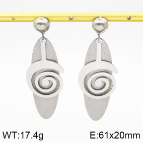 Stainless Steel Earrings  2E5000042ablb-618