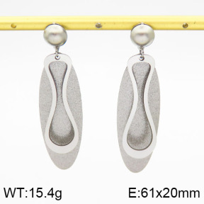 Stainless Steel Earrings  2E5000048ablb-618