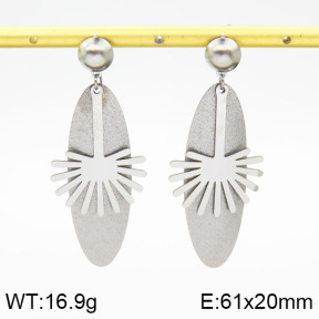 Stainless Steel Earrings  2E5000051ablb-618