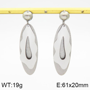 Stainless Steel Earrings  2E5000054ablb-618