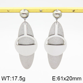 Stainless Steel Earrings  2E5000057ablb-618