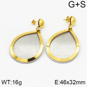 Stainless Steel Earrings  2E5000062vbll-618