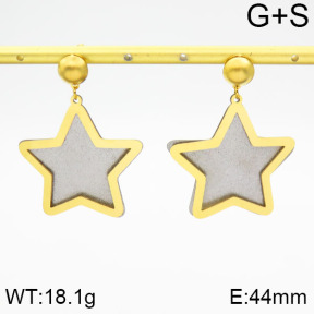 Stainless Steel Earrings  2E5000065vbll-618