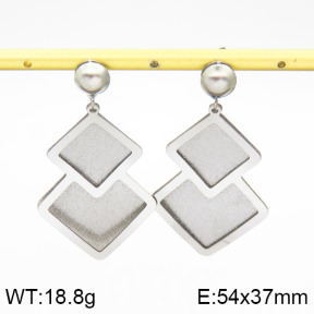 Stainless Steel Earrings  2E5000066ablb-618