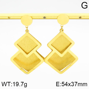 Stainless Steel Earrings  2E5000067vbmb-618