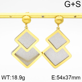 Stainless Steel Earrings  2E5000068vbll-618